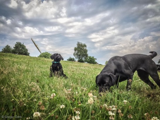 Lob an den Fotografen!!